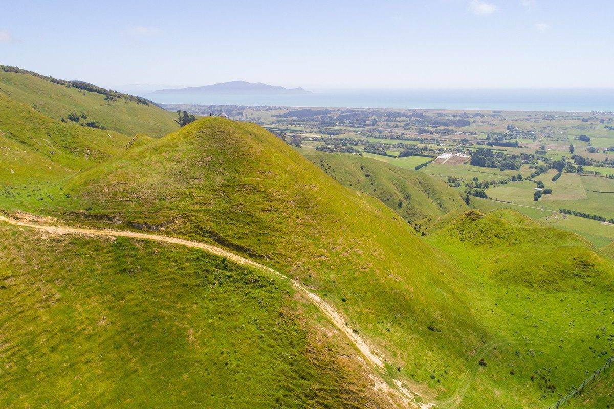 Farms for Sale Wairarapa