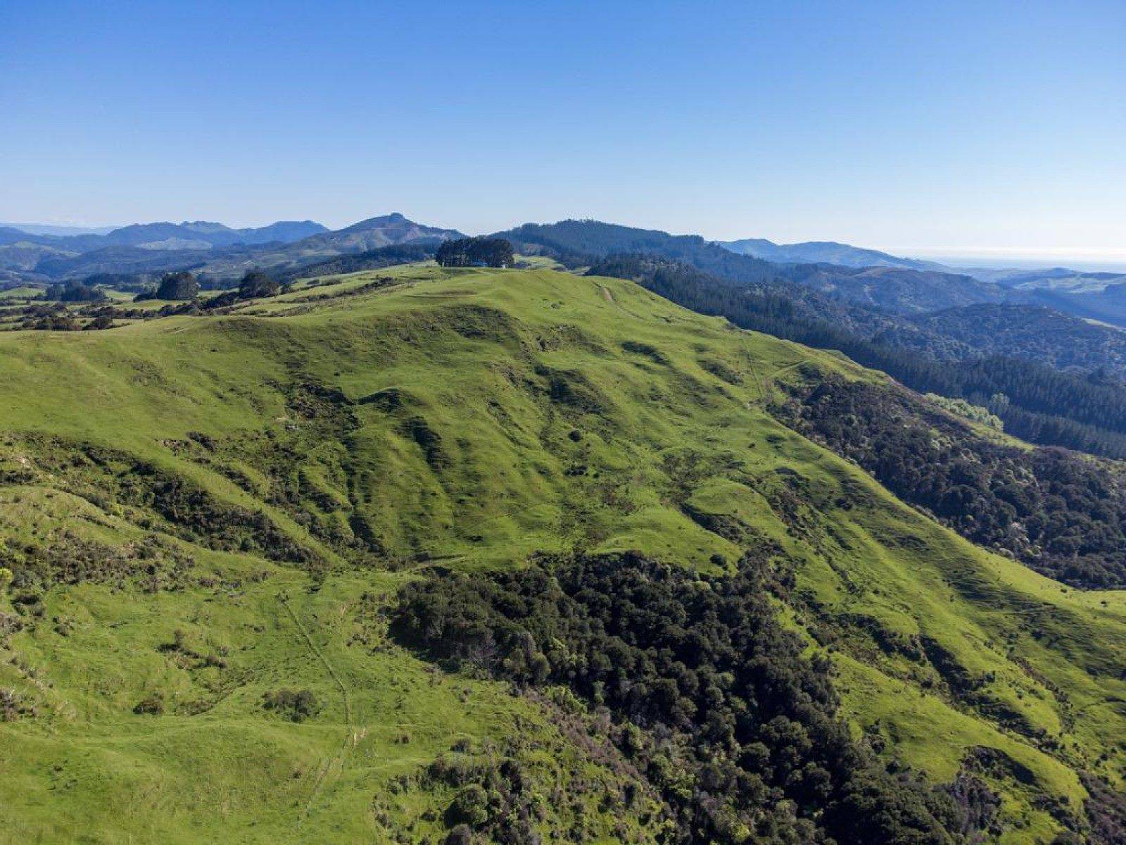 Farms for Sale Wairarapa