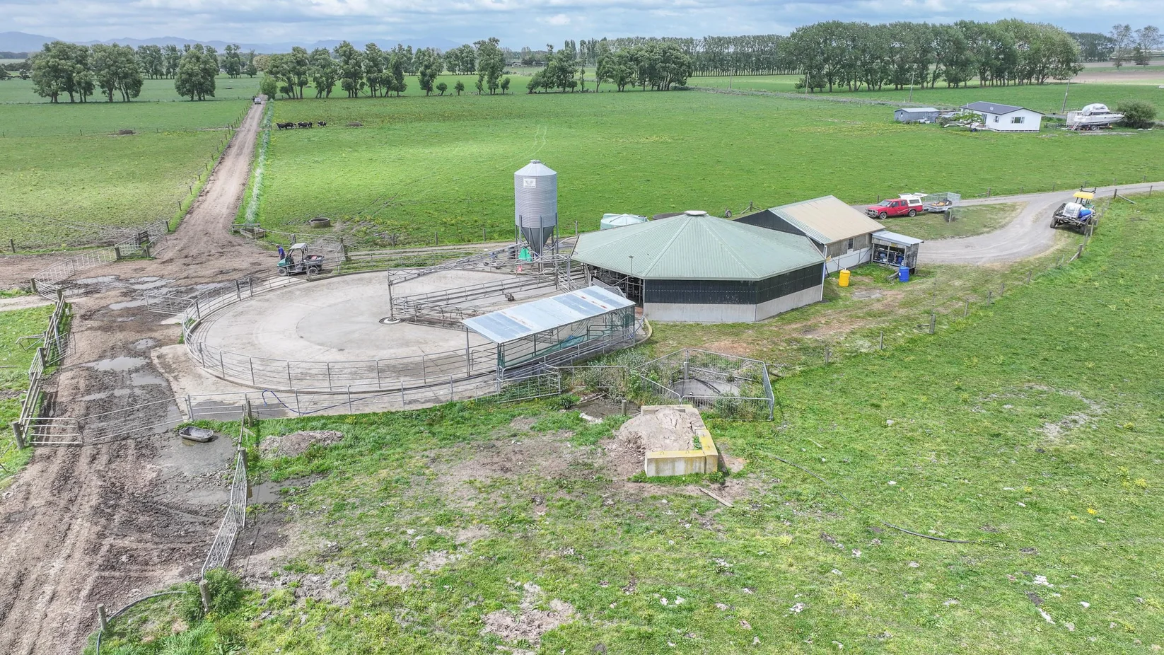 Dairy Farms for Sale Waikato