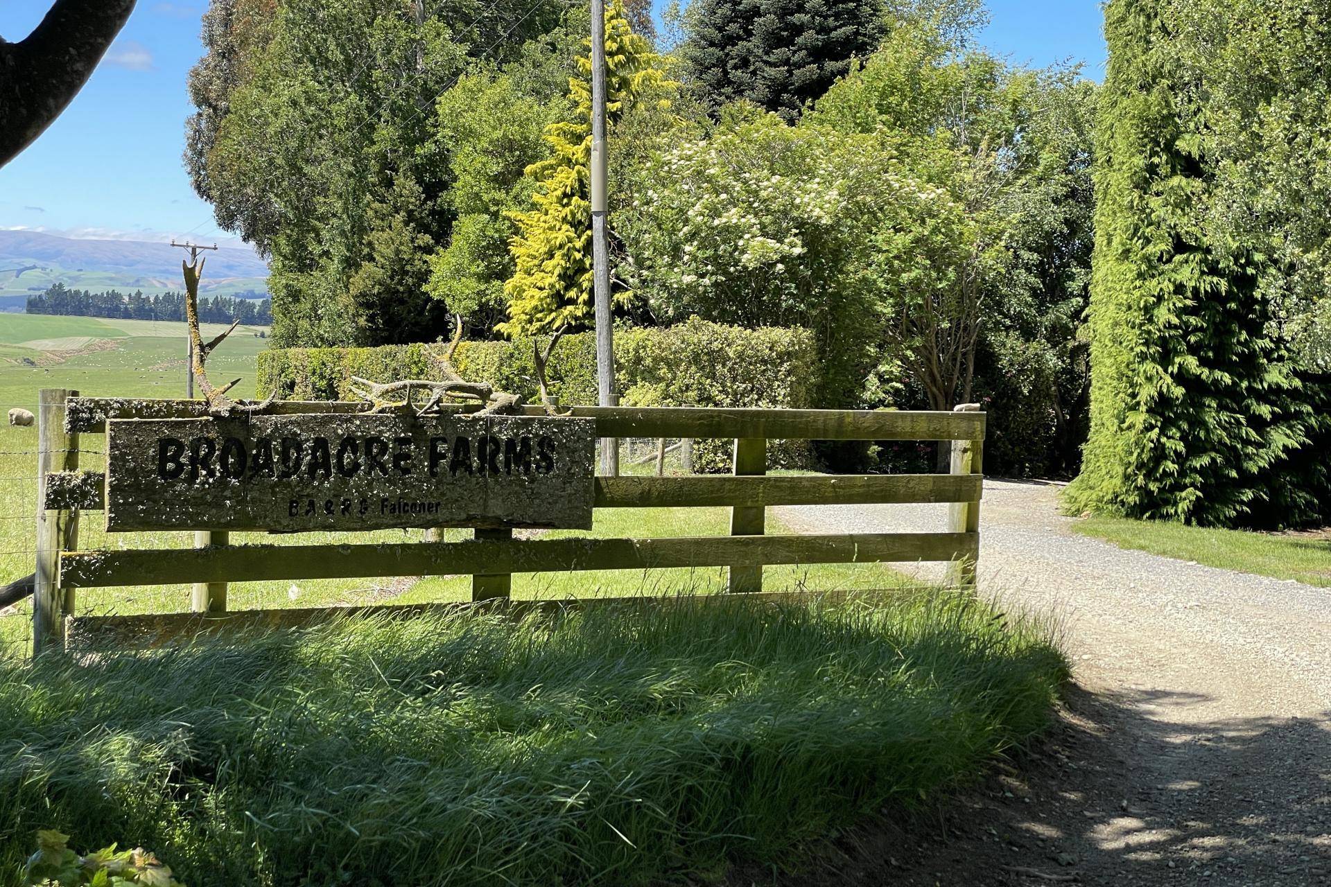 Farm for Sale Otago