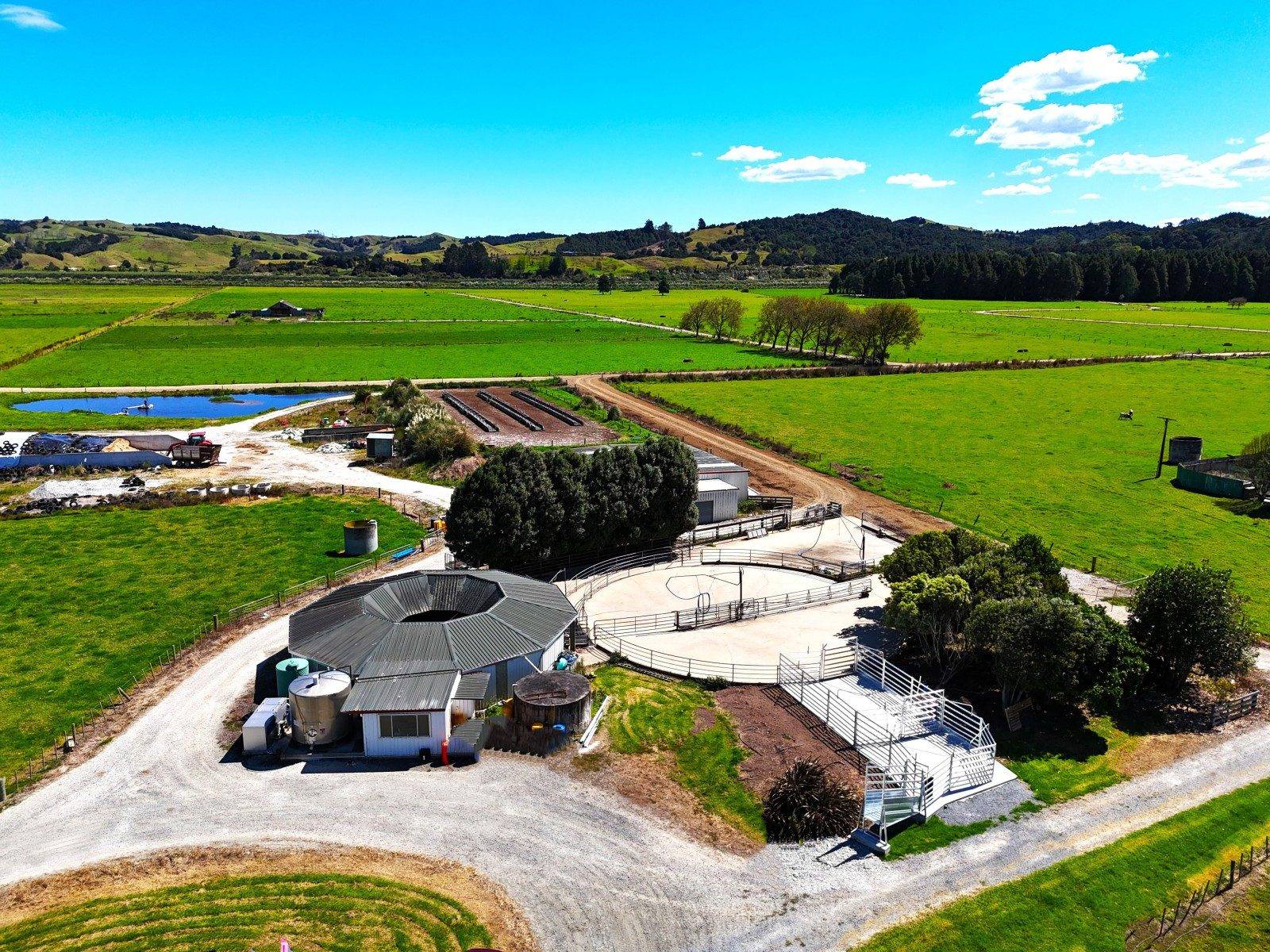 Dairy Farm For Sale