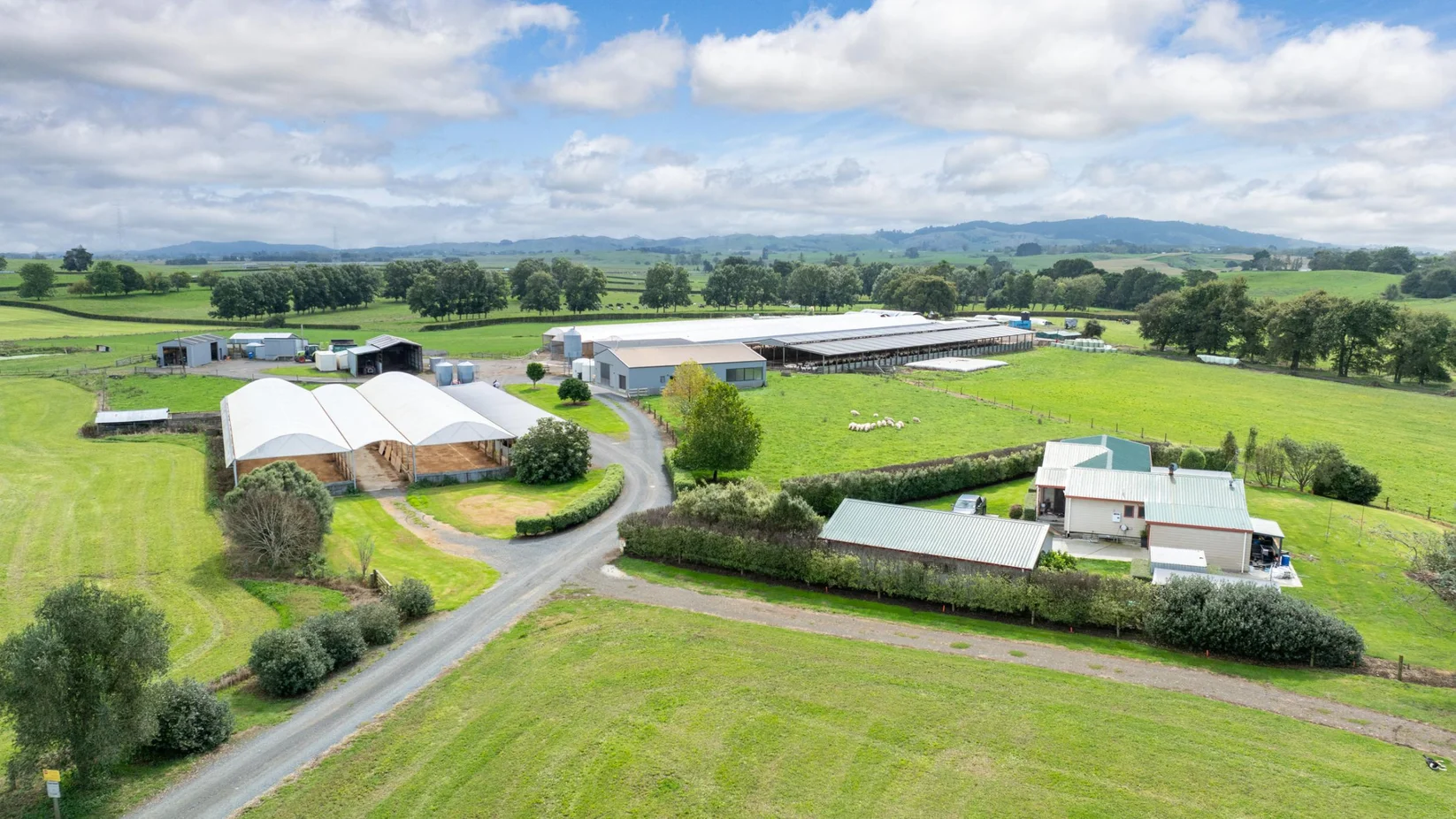 Farms for Sale Waikato
