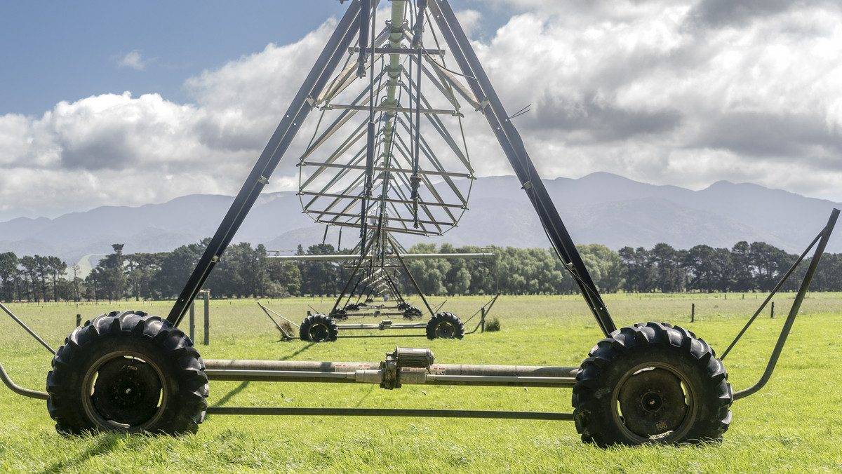 Farms for Sale Wairarapa
