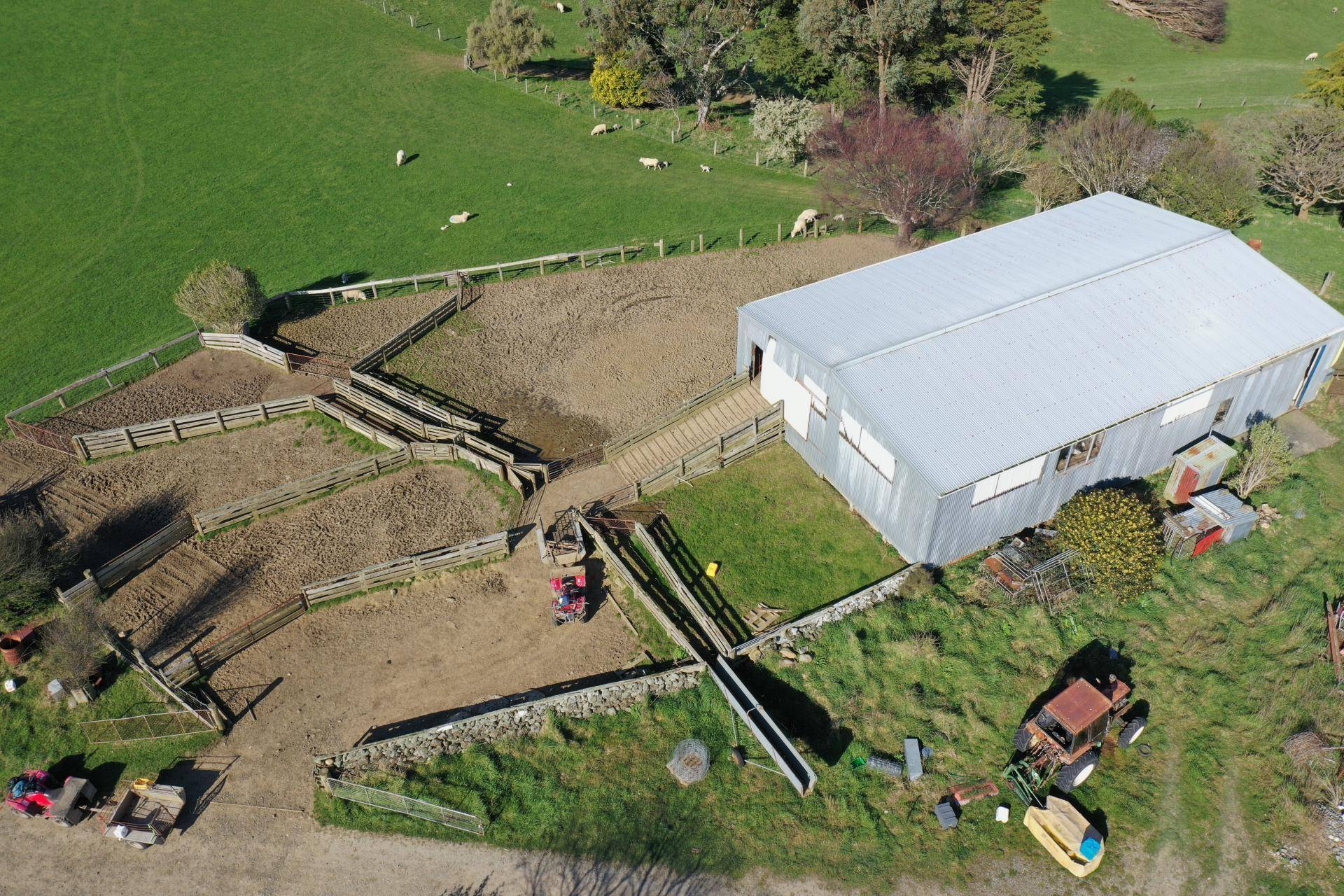 Farms for Sale Southland