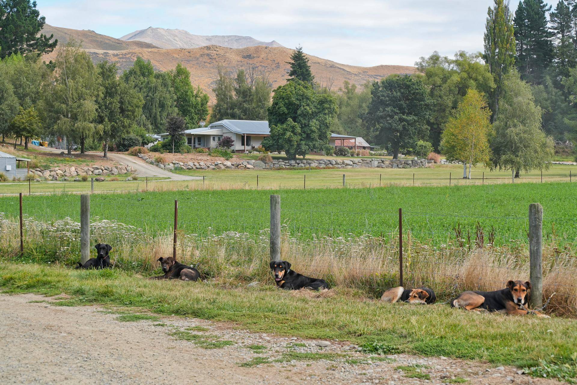Farms for Sale Canterbury