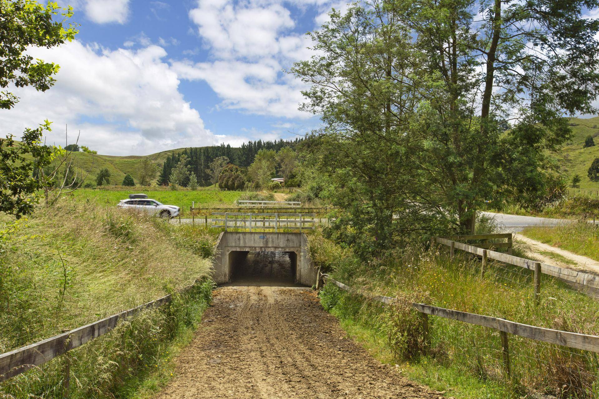 farms for sale Waikato