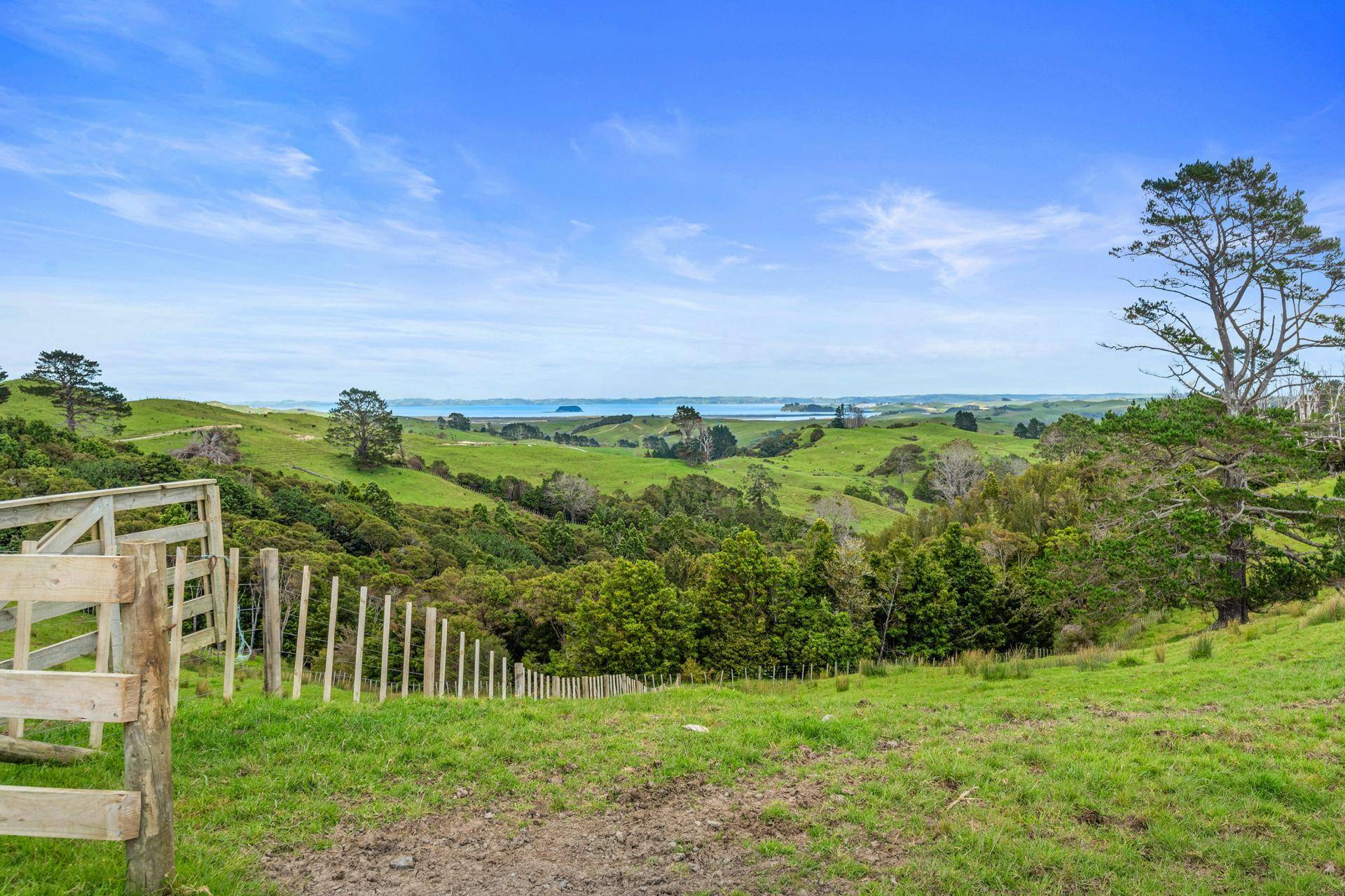 Farsms for sale wellsford