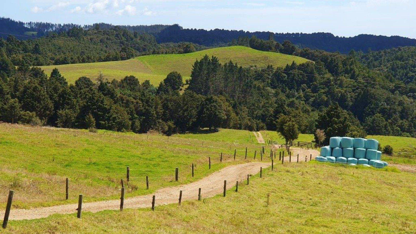 dairy farms for Sale