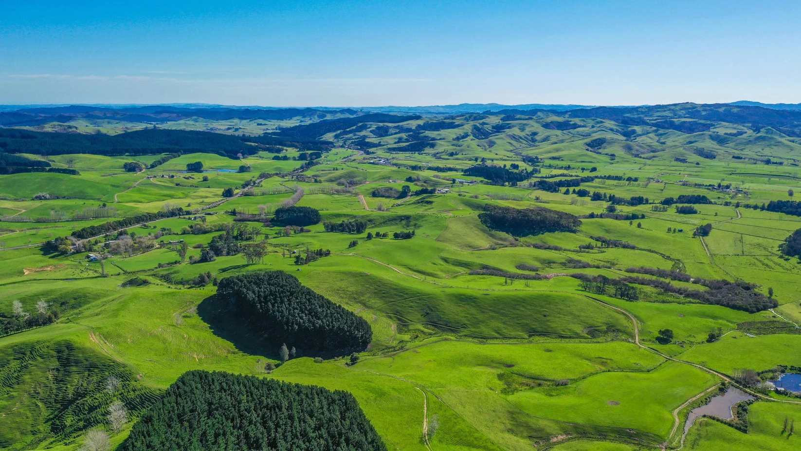 Farms for Sale Waikato