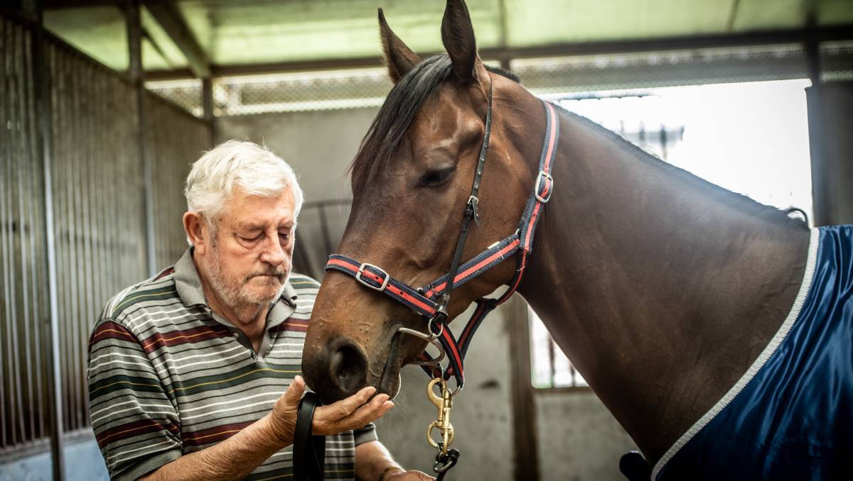 horse health