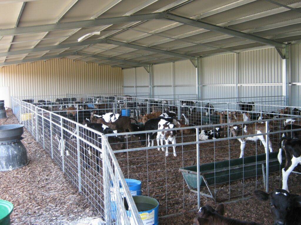 Steel Farm Sheds